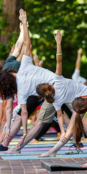 Yoga & Mendelssohn   Yin yoga