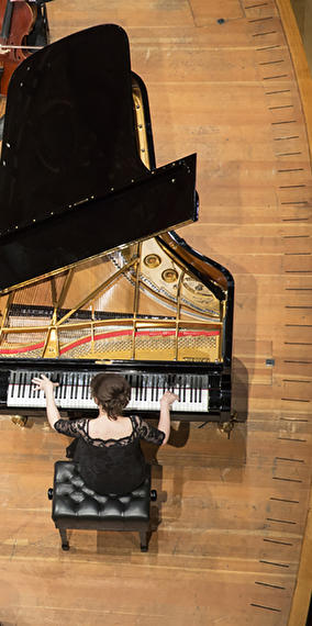 United Instruments of Lucilin / Donatienne Michel-Dansac / Julien leroy