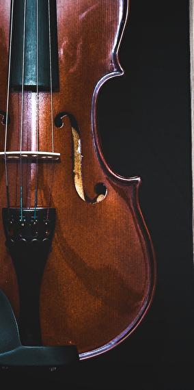 Sel C Camerata ii
