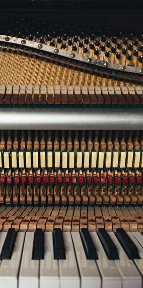 Visite guidée de la Philharmonie en allemand