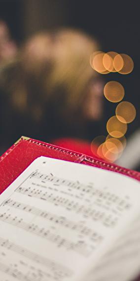 Visite guidée de la Philharmonie en allemand