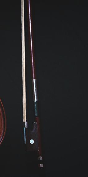 Visite en français de la philharmonie