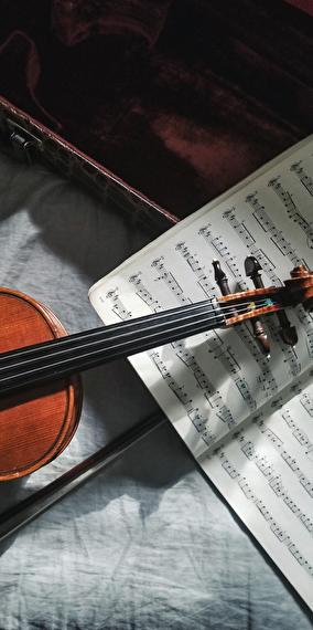 Visite guidée de la Philharmonie en anglais