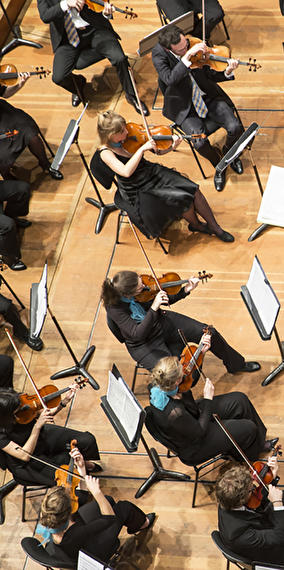 Visite guidée de la Philharmonie en allemand