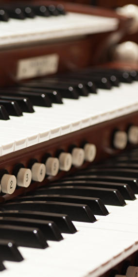 Visite en français de la philharmonie