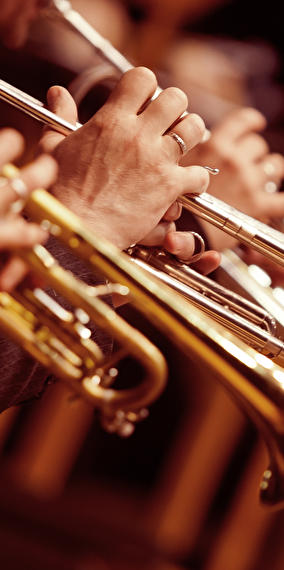 «The very best of Saxitude»