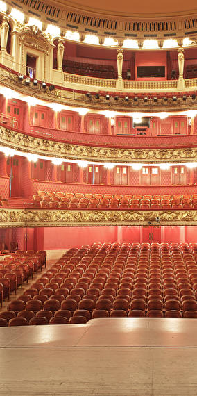 Visite guidée de la Philharmonie en allemand