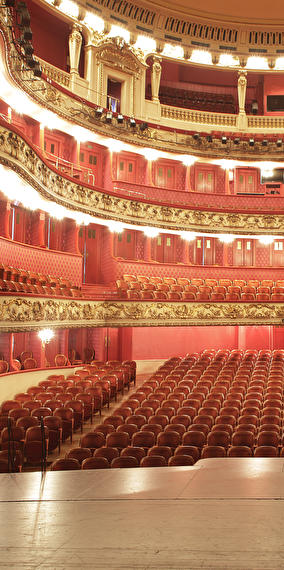 Guided tour of the Philharmonie in english