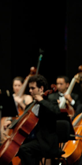 Visite en français de la philharmonie