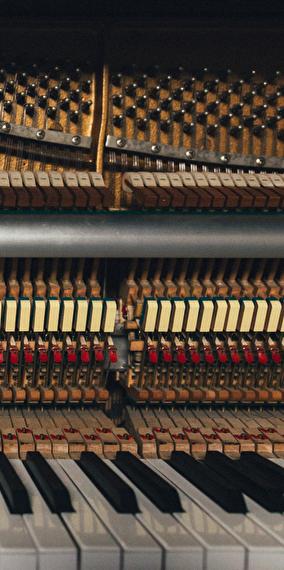 Visite guidée de la Philharmonie en allemand