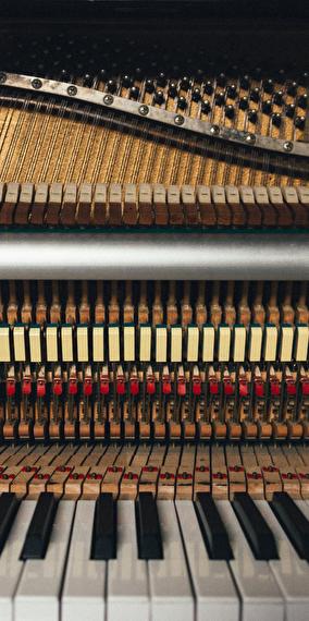 Visite guidée de la Philharmonie en anglais