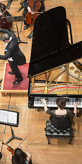 Visite guidée de la Philharmonie en anglais