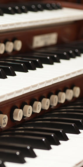 Visite guidée de la Philharmonie en anglais