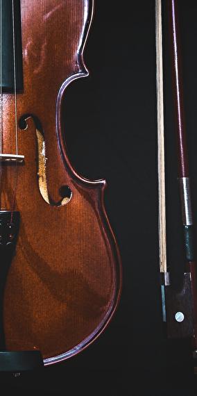 Visite guidée de la Philharmonie en allemand