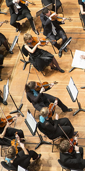 Rudolf Buchbinder / Iván Fischer / Budapest Festival Orchestra