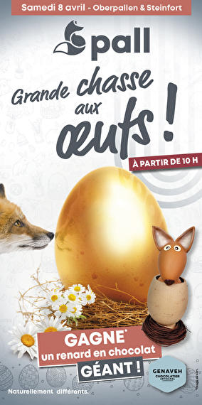 La chasse aux œufs est ouverte !