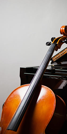 «lunch concert  OPL's Open rehearsal»