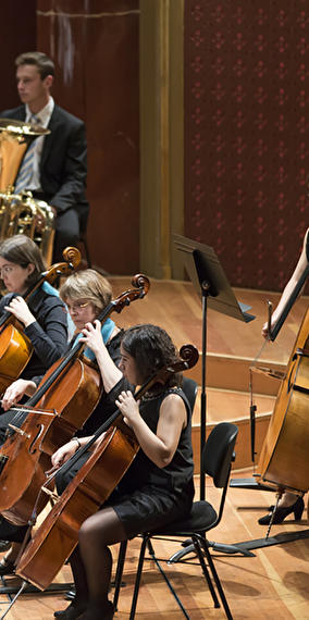 Visite guidée de la Philharmonie en allemand