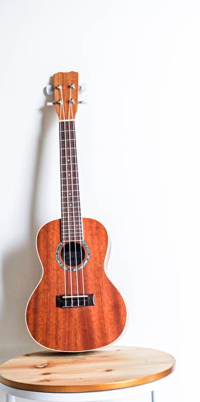 «le monde sonore des petites bêtes»