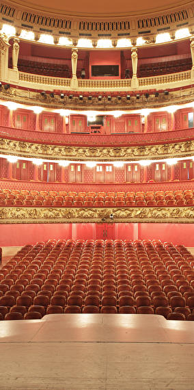 Visite en français de la philharmonie