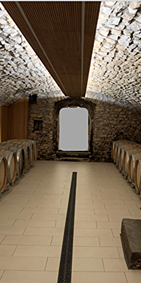 Reading detective novels in a vaulted cellar - Wine Culture Enjoy
