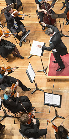 «Pinocchio» - orchestre
