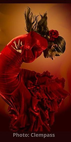 Atelier danse Flamenco - Technique du corps ; Tous niveaux