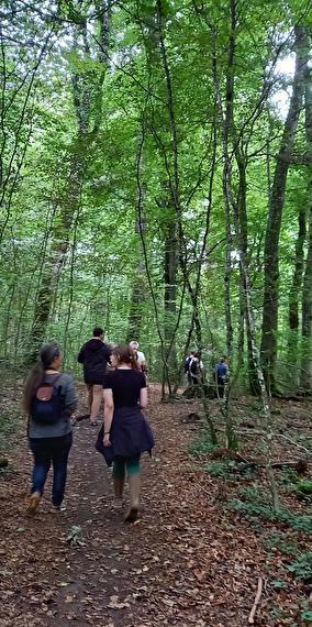 Walks: on the paths of Alzette Belval