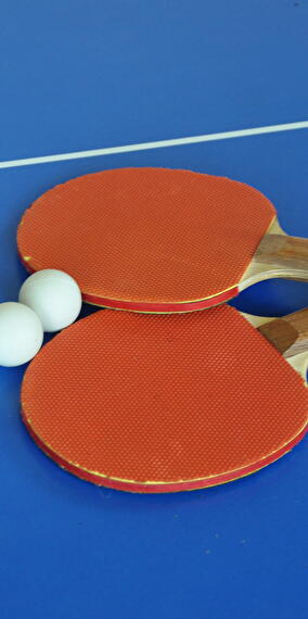 Tournament « 18th Grand Prix of Table Tennis Friends Bartreng »