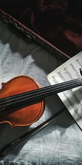 Violoncelle