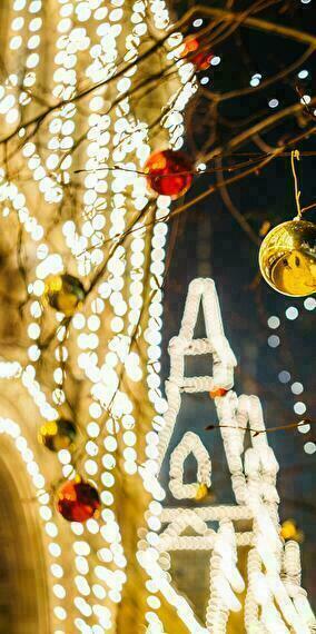 Noël à Flo : La Magie des Fêtes à Florange !