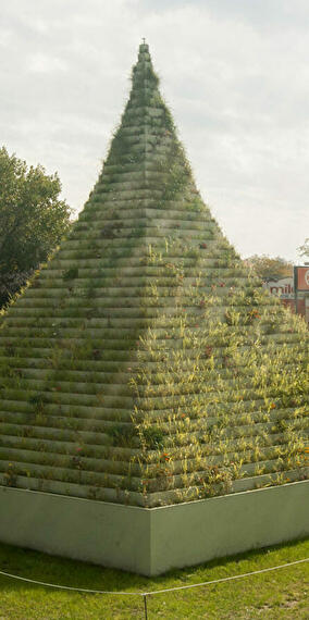 The Living Pyramid