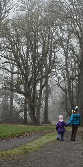 Monthly Walk in Nantimont