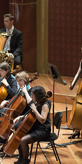 Surprise Concert: The Three Mozarts / The Caribbean Mozart