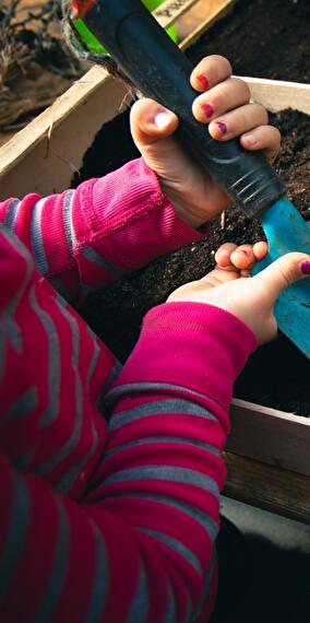The Little Gardener