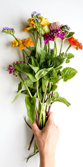 Workshop: dyeing with plants