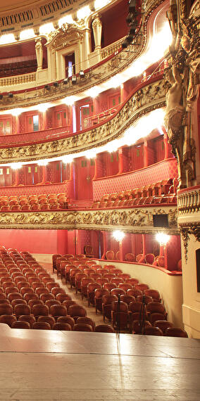 Guided tour of the Philharmonie in English
