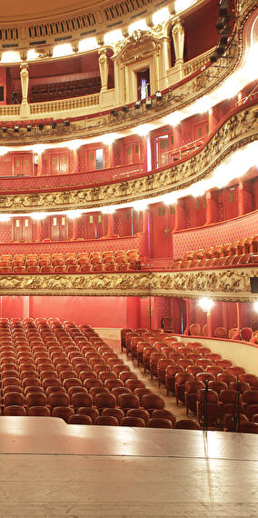 Guided tour of the Philharmonie in English