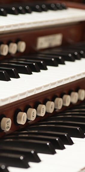 Guided tour of the Philharmonie in English
