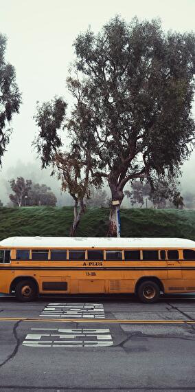 Bicherbus