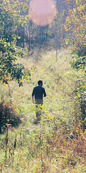 Hiking with Wild Herbs & Tasting