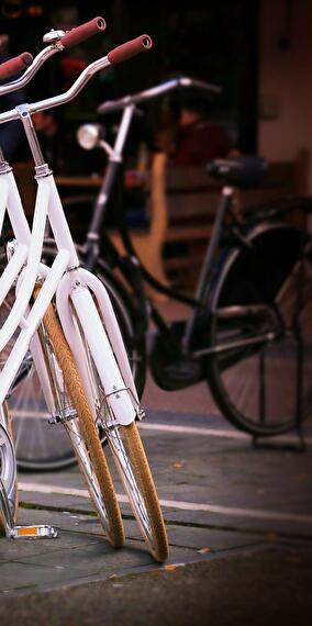 Express Training: Bicycle Maintenance