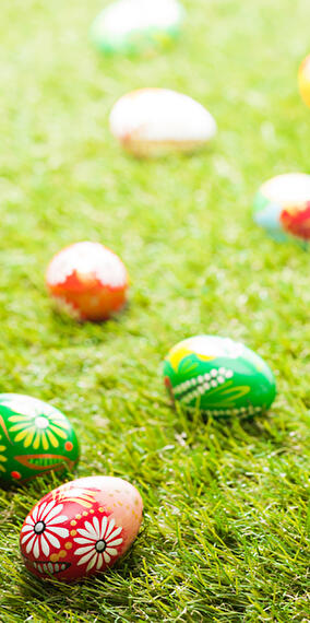 Egg Hunt - Habergy-Guelff