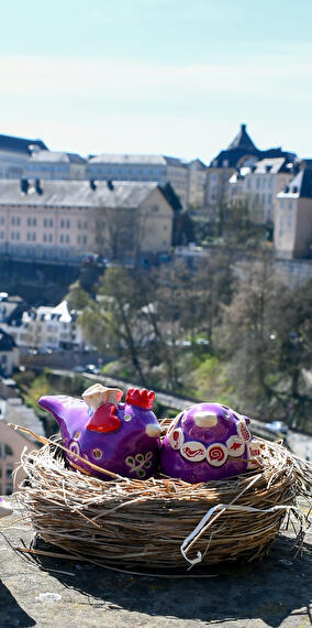 Easter Safari in the heart of the city