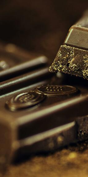 The chocolate workshop
