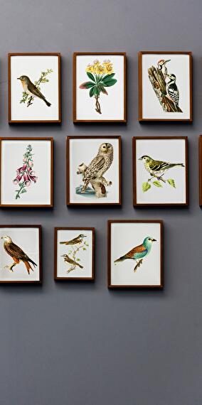 Photography Exhibition "Festival Poch Théâtre 2024" – Serge MARTIN