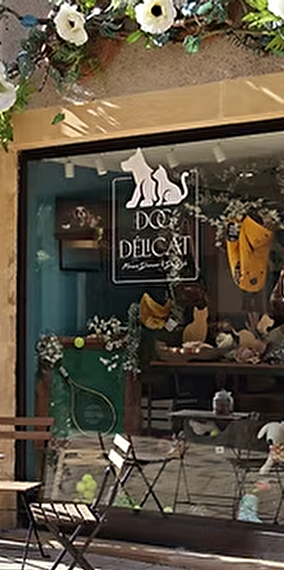 DOG DéliCAT – Wheel of Fortune - Dolce Vita Festival