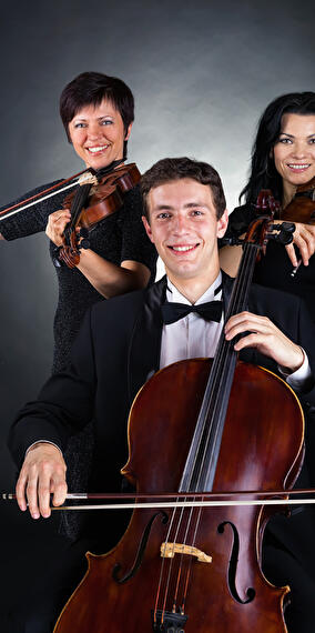 Vesselin Stanev