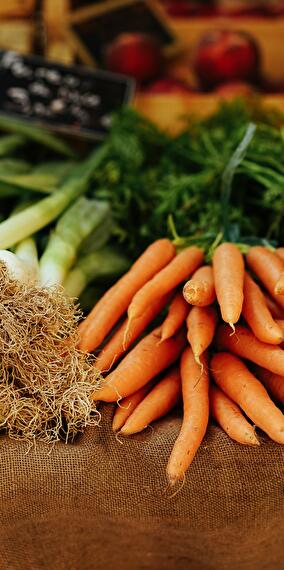 Organic Vegetable Market at Kass-Haff – Every Friday!