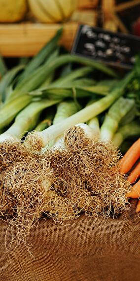 Marché de légumes bio au Kass-Haff – Tous les vendredis !
